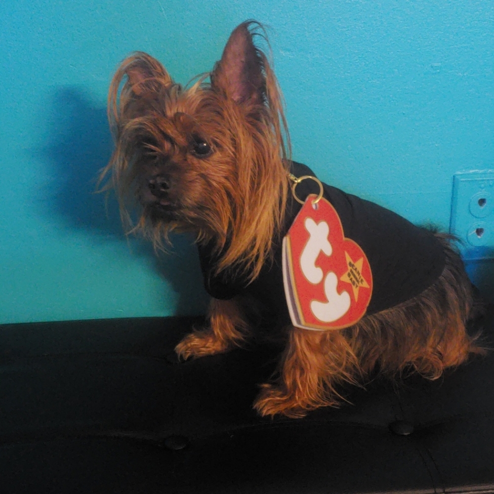 BEANIE ORIGINAL BABY tag for your fur baby